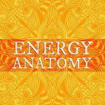 energy-anatomy-1